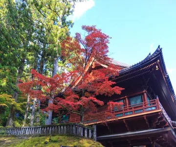 Nikkō World Heritage Area Pass